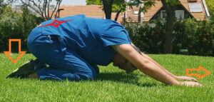 תרגילים לחיזוק גב עליון